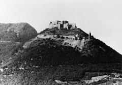 ORAN 02321